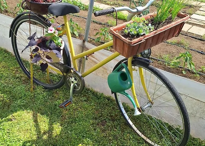 Old Mill * بيهاتش